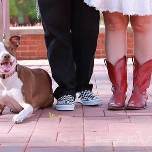 Meet your Posher, Rex